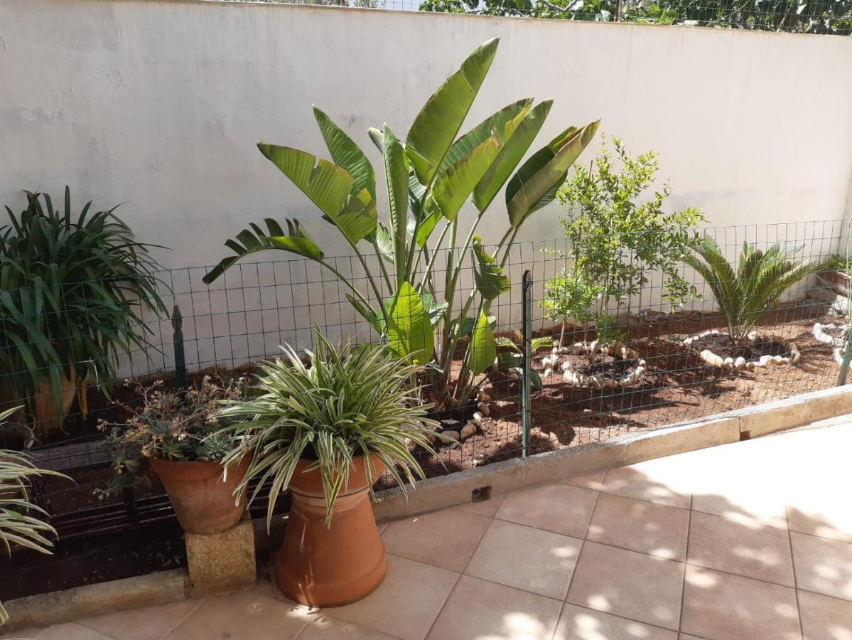 Casa Vacanza Rita مارينا دي بيسكولوس المظهر الخارجي الصورة